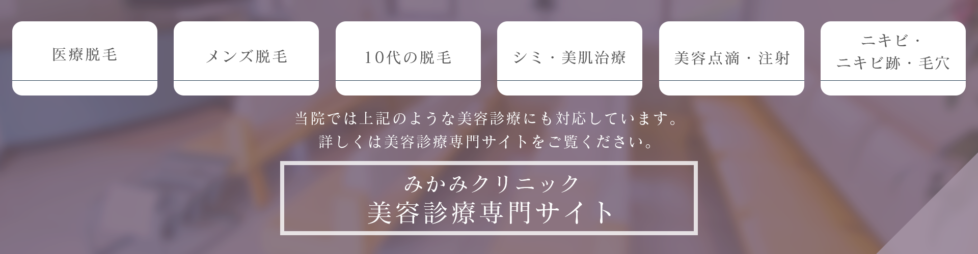 美容診療専門サイト